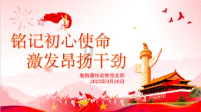 回威海过年！